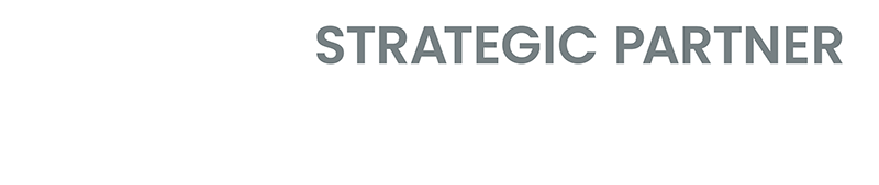 NDIA_Visionary_Strategic_Partner-Reverse