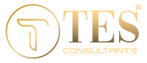 TES Consulting